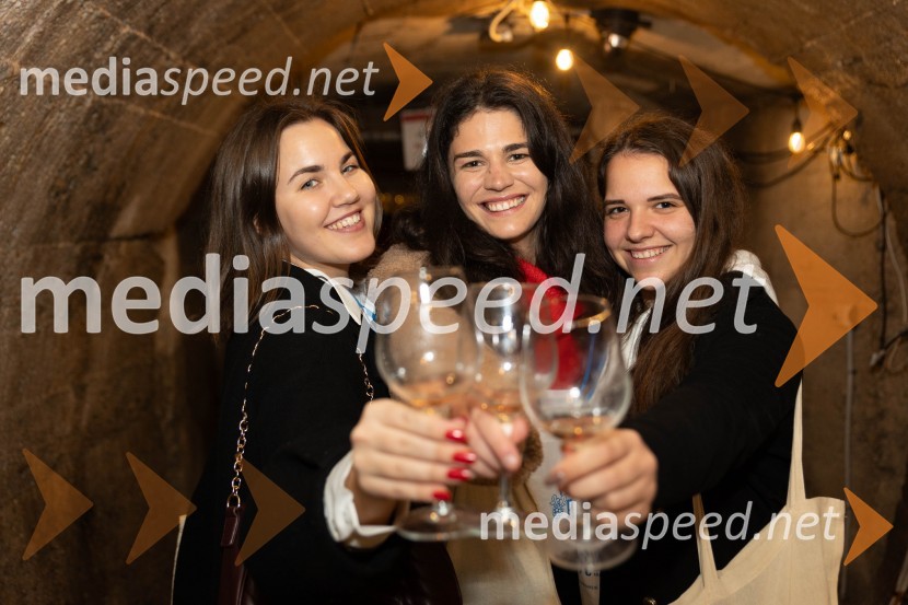 Vinska pot v rovih pod starim Kranjem 2023, sobota