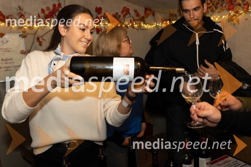 Vinska pot v rovih pod starim Kranjem 2023, sobota