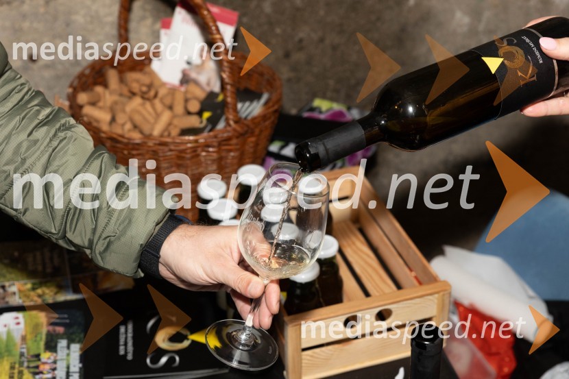 Vinska pot v rovih pod starim Kranjem 2023, sobota