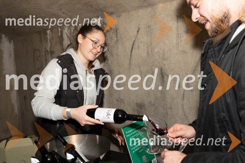 Vinska pot v rovih pod starim Kranjem 2023, sobota