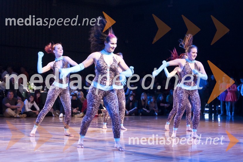 Plesna skupinaDržavno prvenstvo v latinskoameriških plesih in podelitev nagrad Povodni mož 2008