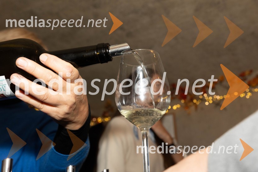 Vinska pot v rovih pod starim Kranjem 2023, sobota