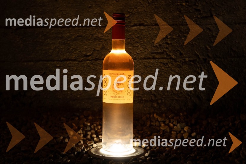 Vinska pot v rovih pod starim Kranjem 2023, sobota