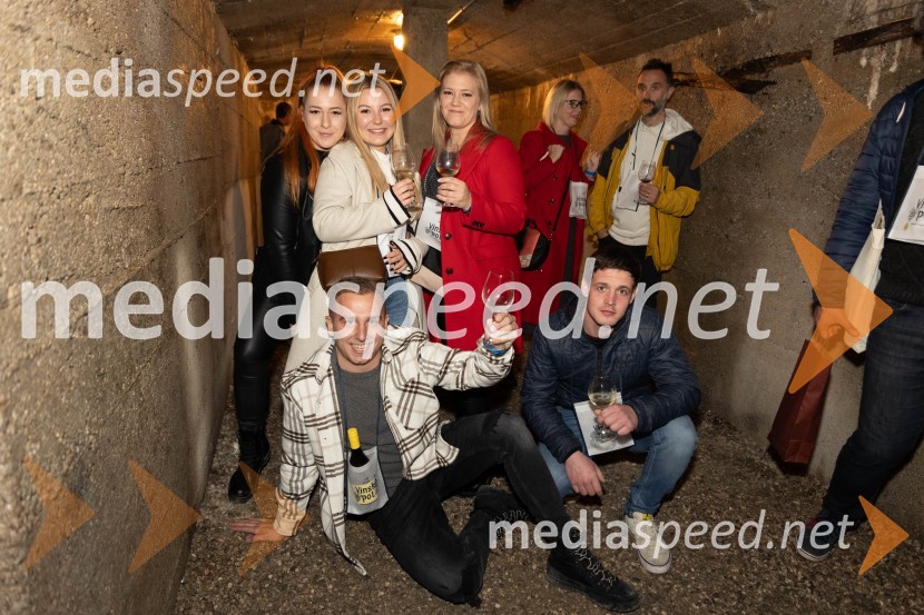 Vinska pot v rovih pod starim Kranjem 2023, sobota