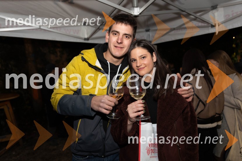 Vinska pot v rovih pod starim Kranjem 2023, sobota