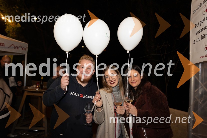 Vinska pot v rovih pod starim Kranjem 2023, sobota