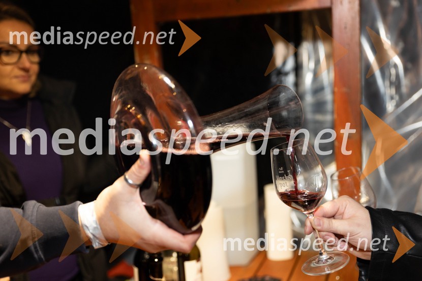 Vinska pot v rovih pod starim Kranjem 2023, sobota