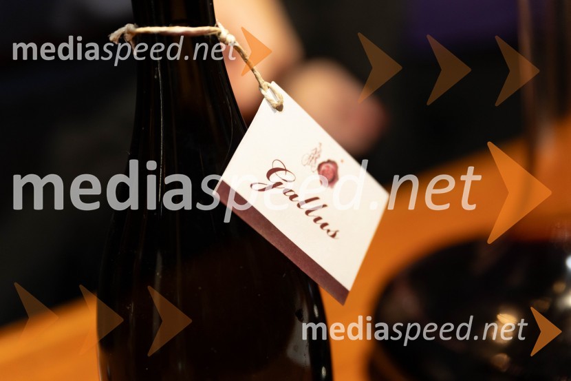 Vinska pot v rovih pod starim Kranjem 2023, sobota