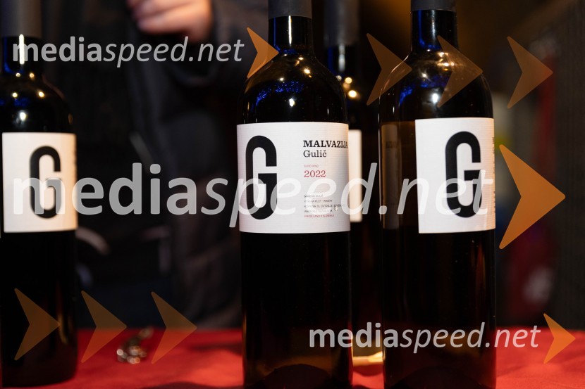 Vinska pot v rovih pod starim Kranjem 2023, sobota