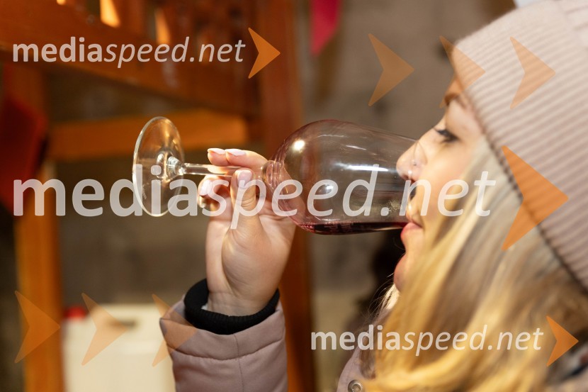 Vinska pot v rovih pod starim Kranjem 2023, sobota