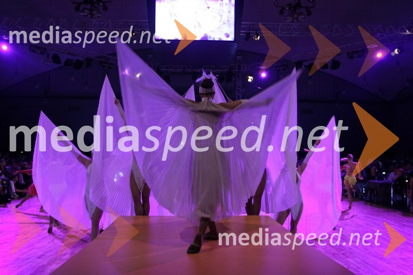 Članska plesna formacija Plesne šole Urška - Rajski vrtDržavno prvenstvo v latinskoameriških plesih in podelitev nagrad Povodni mož 2008