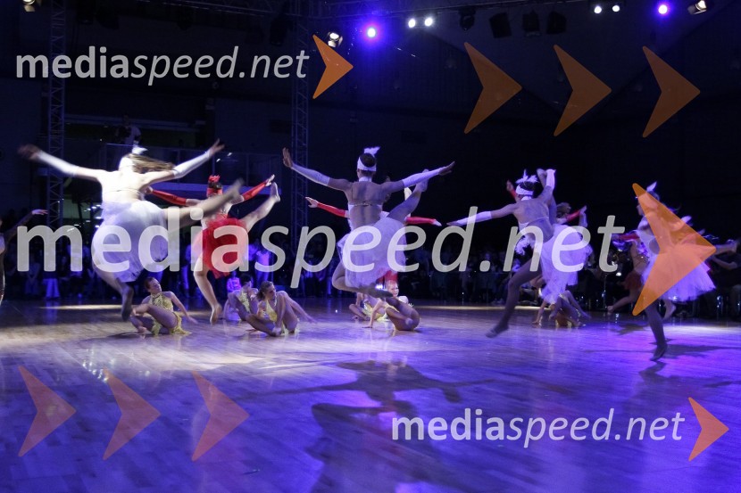 Članska plesna formacija Plesne šole Urška - Rajski vrtDržavno prvenstvo v latinskoameriških plesih in podelitev nagrad Povodni mož 2008