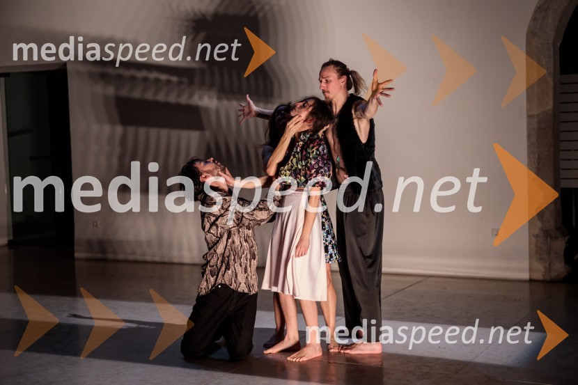  Milan Tomášik, plesalec;  Kristýna Peldová, plesalka in koreografinja;  Žigan Krajnčan, igralec, plesalec, koreografEno samo telo ni dovolj, premiera plesne predstave