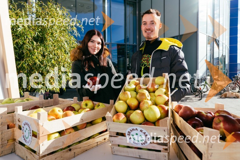 Dan slovenskih jabolk v Citycentru Celje