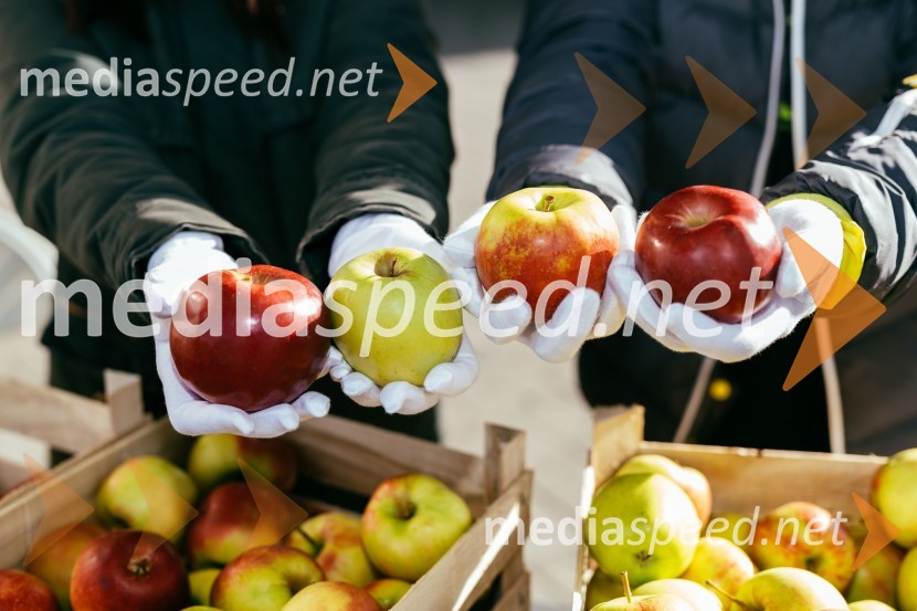 Dan slovenskih jabolk v Citycentru Celje