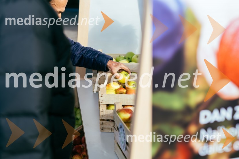 Dan slovenskih jabolk v Citycentru Celje