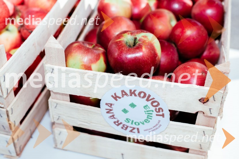 Dan slovenskih jabolk v Citycentru Celje