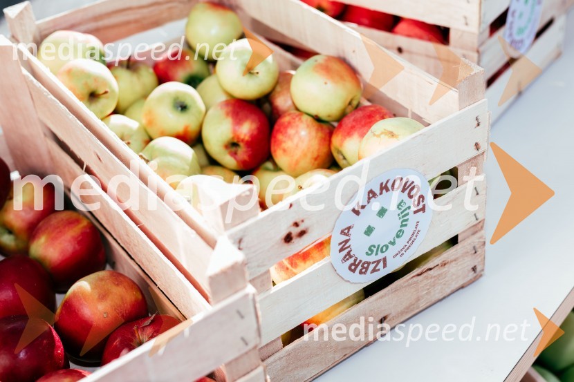 Dan slovenskih jabolk v Citycentru Celje