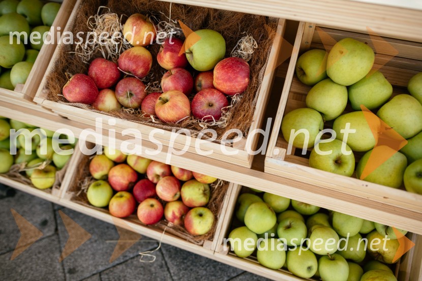 Dan slovenskih jabolk v Citycentru Celje