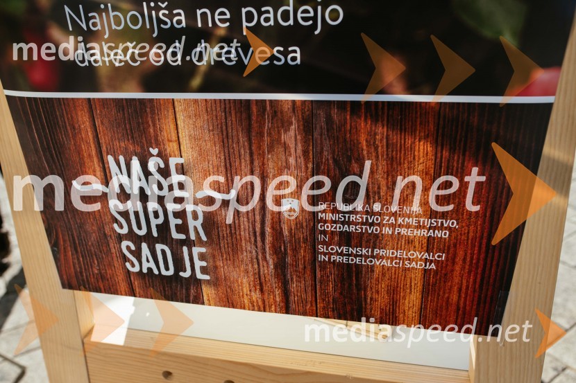 Dan slovenskih jabolk v Citycentru Celje