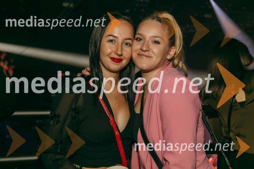 Koncert Žana Serčiča v Cvetličarni