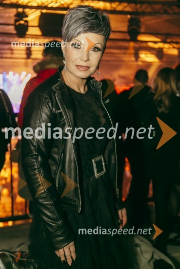 Koncert Žana Serčiča v Cvetličarni