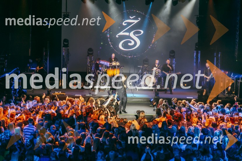  Žan Serčič, glasbenikKoncert Žana Serčiča v Cvetličarni