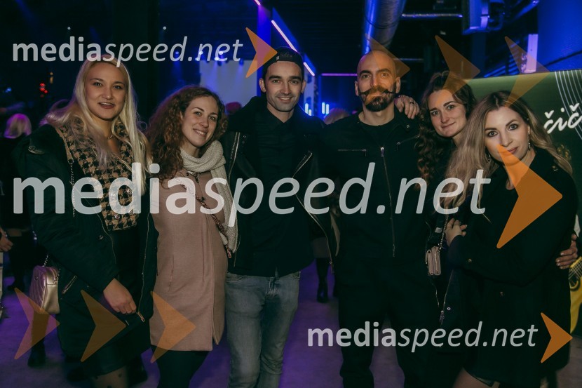 Koncert Žana Serčiča v Cvetličarni