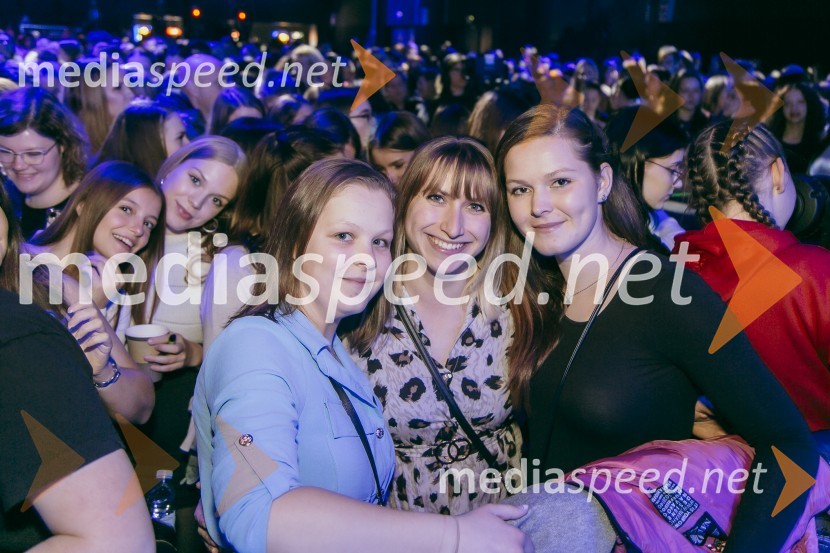 Koncert Žana Serčiča v Cvetličarni