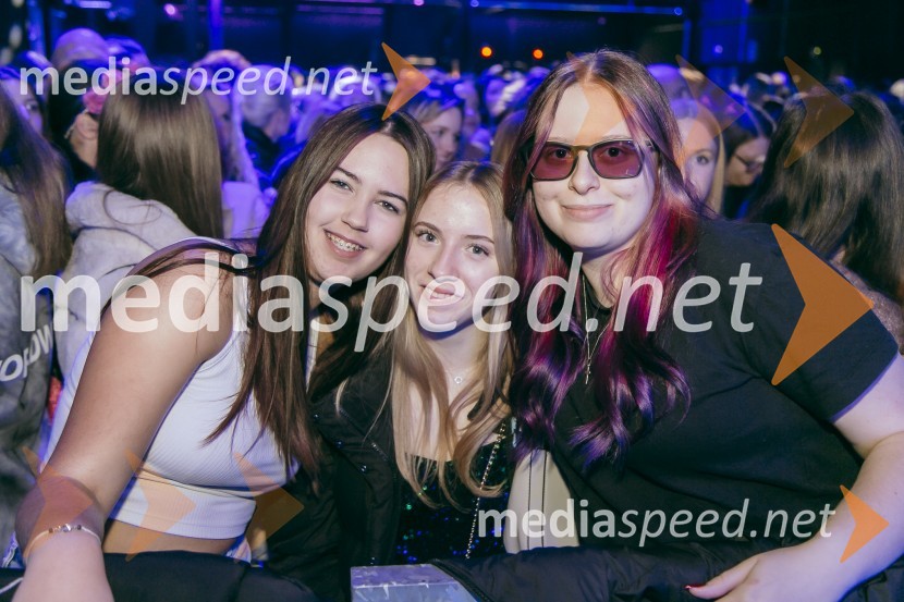 Koncert Žana Serčiča v Cvetličarni