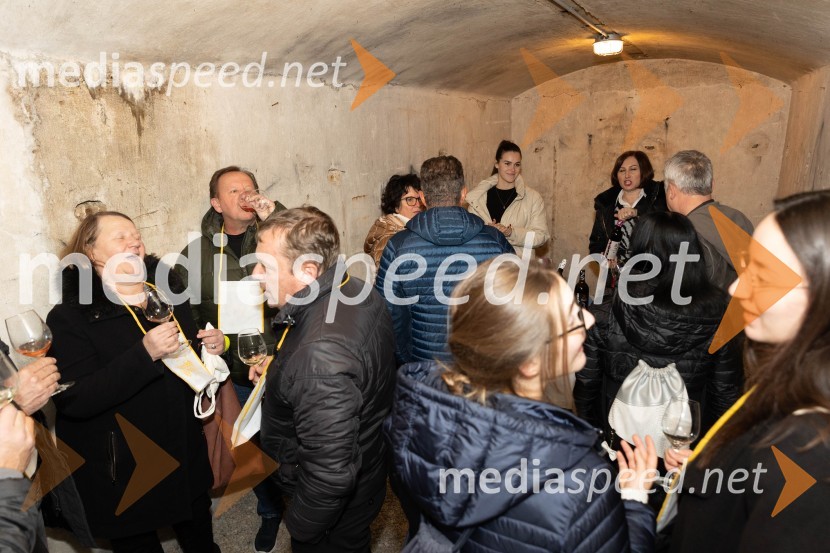 Vinska pot v rovih pod starim Kranjem 2023, petek 2