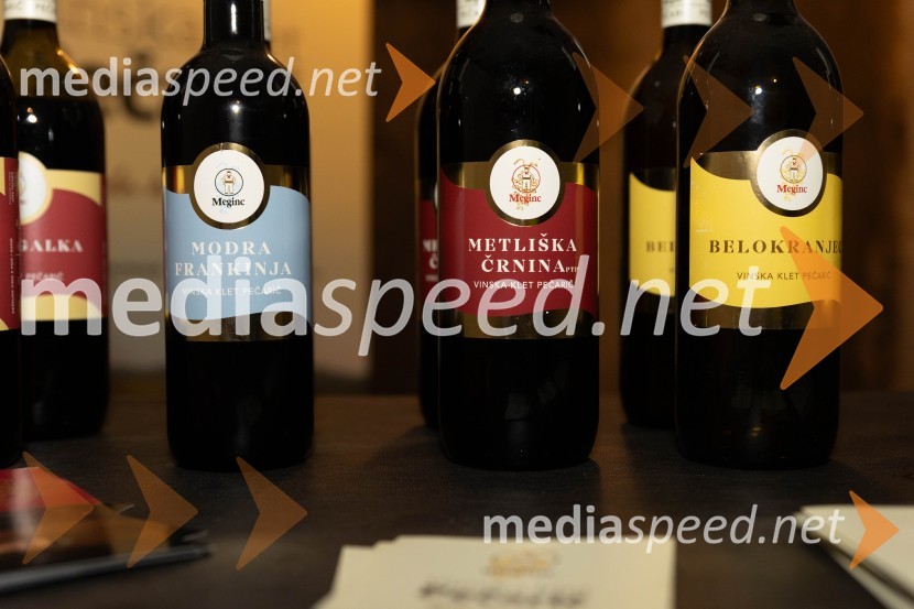 Vinska pot v rovih pod starim Kranjem 2023, petek 2