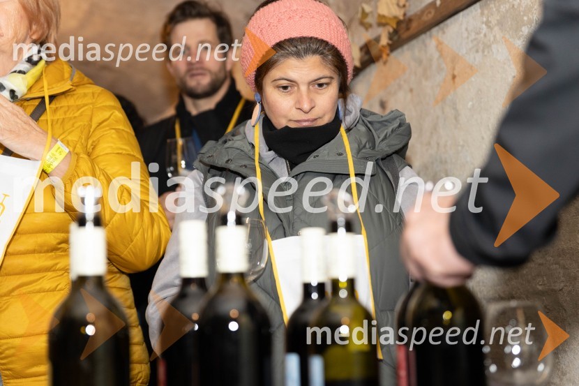 Vinska pot v rovih pod starim Kranjem 2023, petek 2