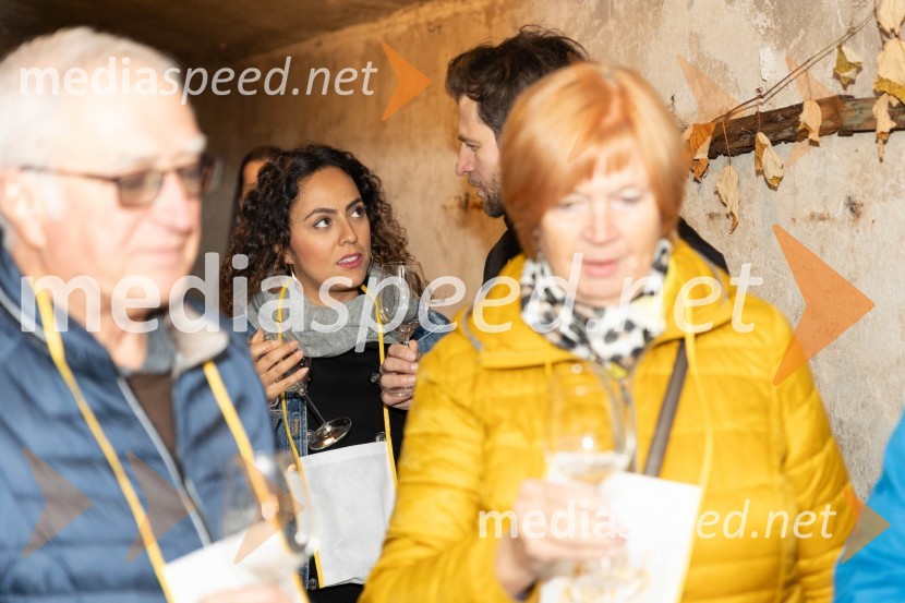 Vinska pot v rovih pod starim Kranjem 2023, petek 2