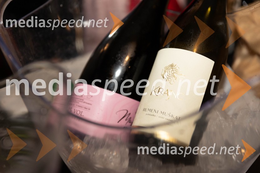 Vinska pot v rovih pod starim Kranjem 2023, petek 2