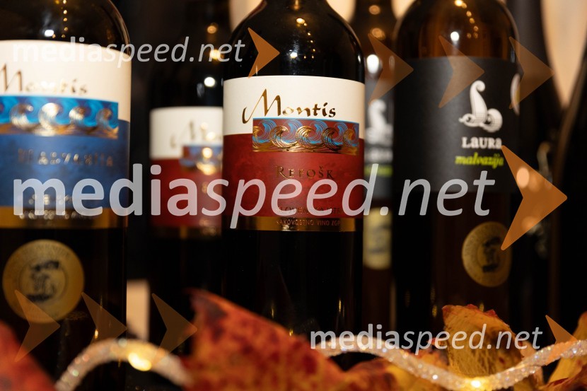 Vinska pot v rovih pod starim Kranjem 2023, petek 2