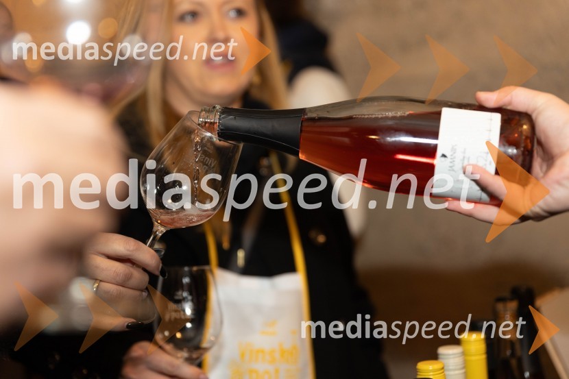 Vinska pot v rovih pod starim Kranjem 2023, petek 2