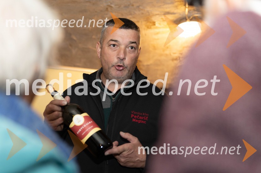 Vinska pot v rovih pod starim Kranjem 2023, petek 2