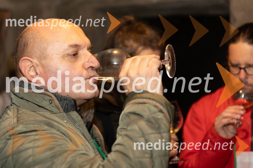 Vinska pot v rovih pod starim Kranjem 2023, petek 2