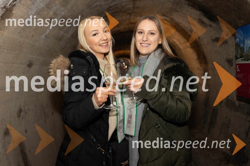Vinska pot v rovih pod starim Kranjem 2023, petek 2
