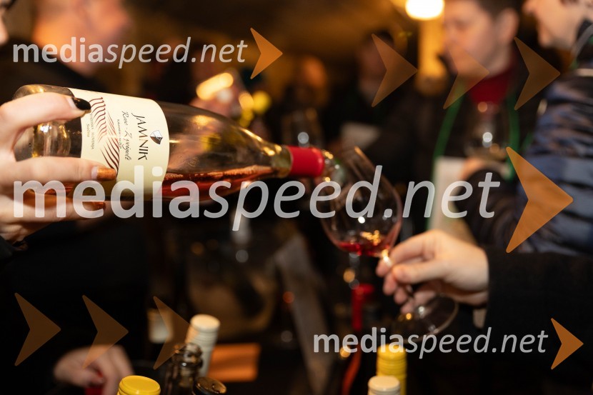 Vinska pot v rovih pod starim Kranjem 2023, petek 2