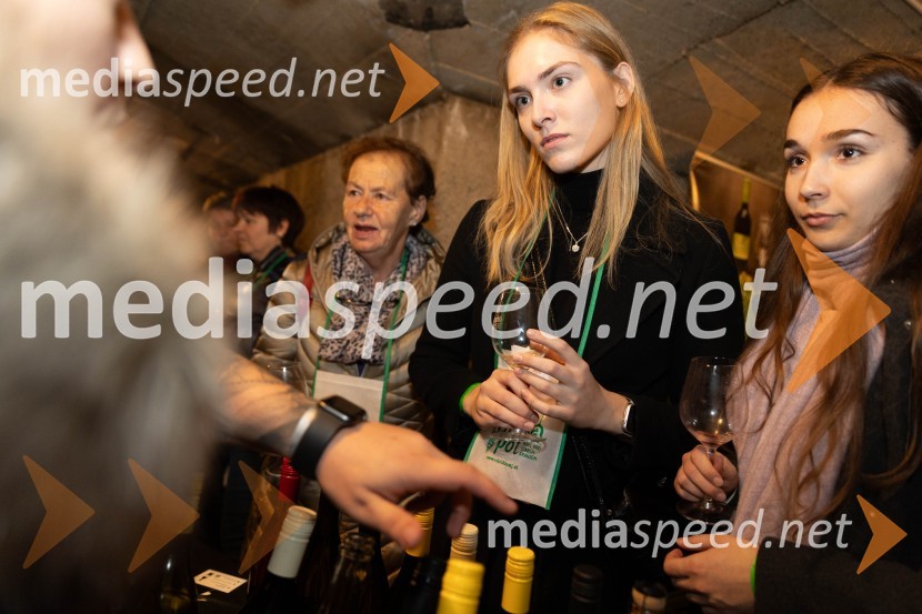 Vinska pot v rovih pod starim Kranjem 2023, petek 2