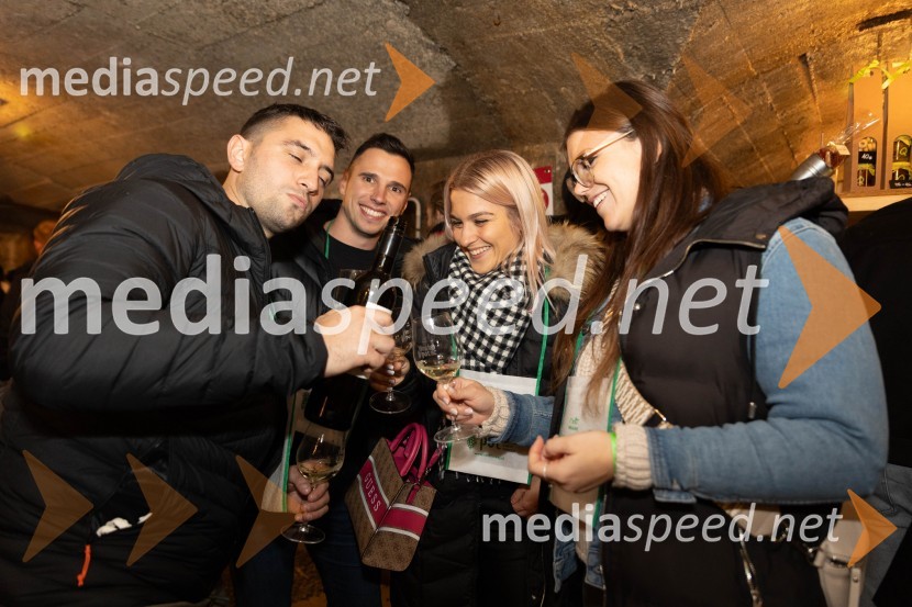 Vinska pot v rovih pod starim Kranjem 2023, petek 2