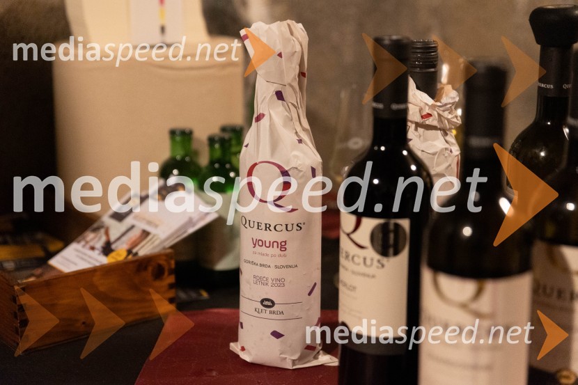 Vinska pot v rovih pod starim Kranjem 2023, petek 2