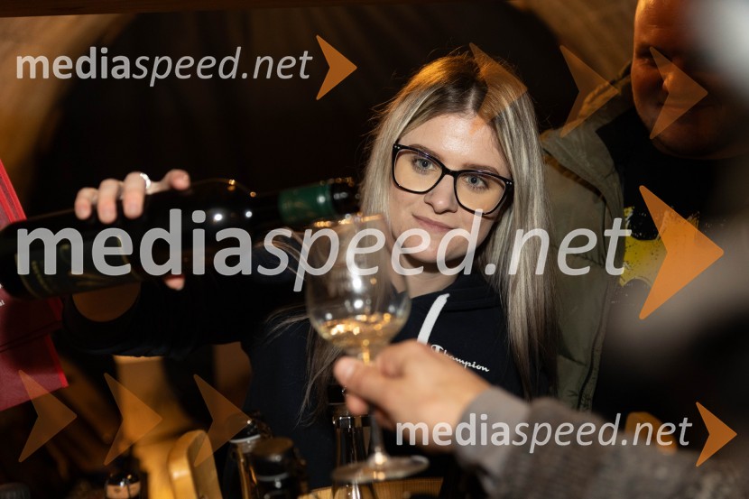 Vinska pot v rovih pod starim Kranjem 2023, petek 2