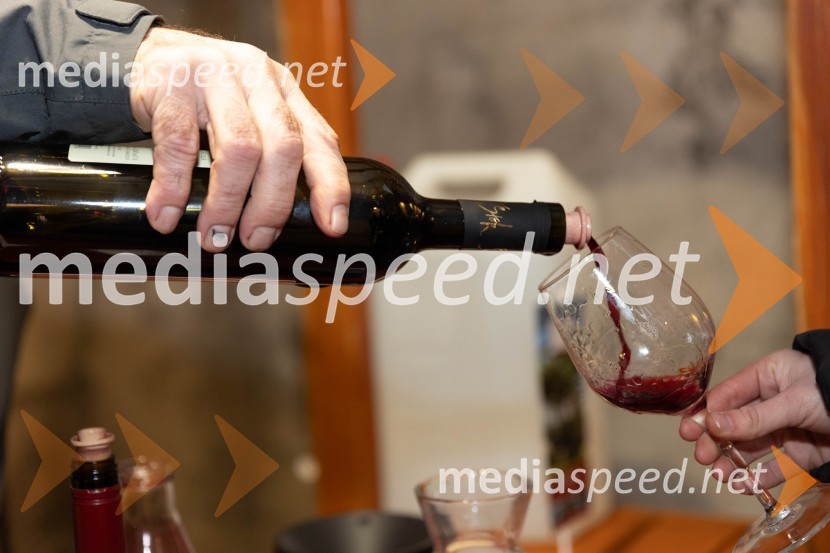 Vinska pot v rovih pod starim Kranjem 2023, petek 2