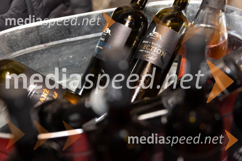 Vinska pot v rovih pod starim Kranjem 2023, petek 2