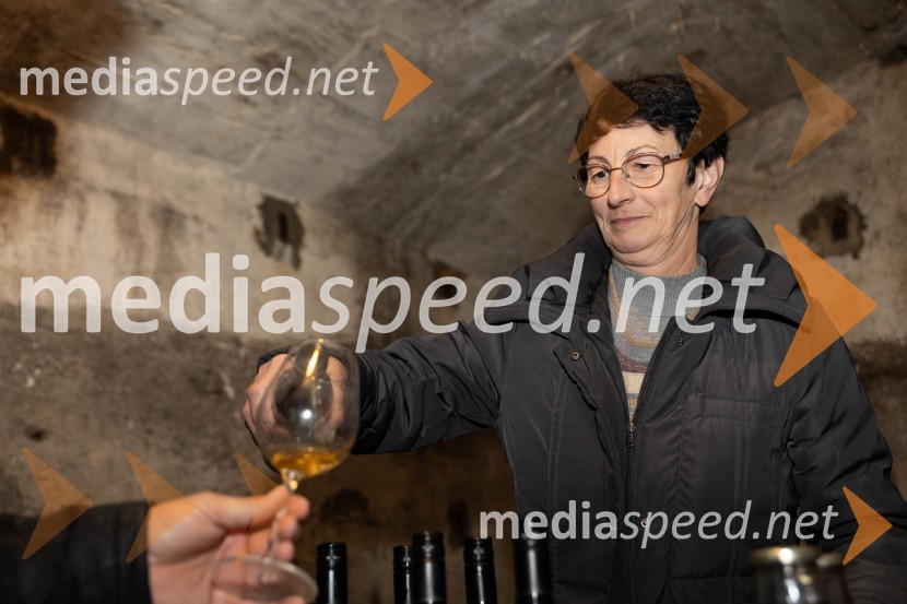 Vinska pot v rovih pod starim Kranjem 2023, petek 2