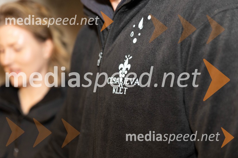 Vinska pot v rovih pod starim Kranjem 2023, petek 2