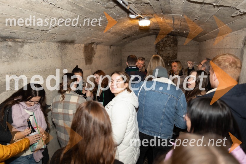 Vinska pot v rovih pod starim Kranjem 2023, petek 2